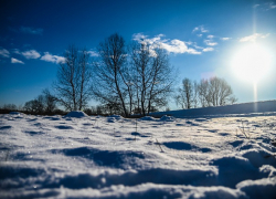 Мороз и солнце ожидаются в Морозовске в начале недели