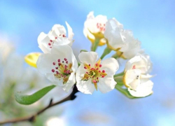 Во вторник в Морозовске станет прохладнее