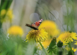 Переменная облачность и небольшая ветреность ожидаются в Морозовске в среду