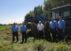 Более 1500 килограммов дикорастущей конопли уничтожили на территории Грузиновского сельского поселения