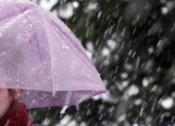 Дождь со снегом и +2 градуса тепла прогнозируют синоптики в пятницу, 17 декабря