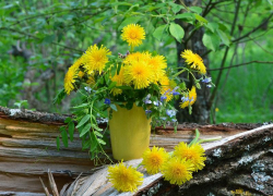 До 25 градусов тепла обещают морозовчанам в пятницу