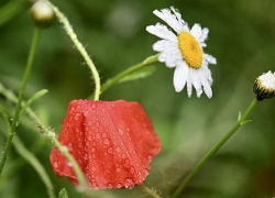 Дождь будет в Морозовске и в понедельник