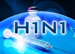 Лук, алкоголь, вакцинация и грипп H1N1: главврач и заведующий поликлиникой предупредили морозовчан