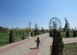 В городском парке Морозовска произвели обработку от клещей