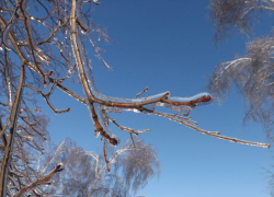 Солнечную погоду без осадков и до -10 градусов мороза обещают синоптики в середине недели
