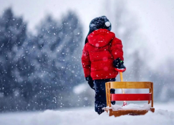 Легкий мороз и небольшой снегопад обещают синоптики в субботу, 15 января