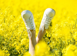 +29 и без дождя: морозовчанам обещают потепление