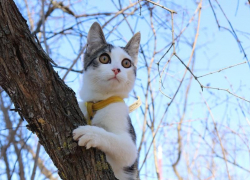 До -7 градусов мороза обещают морозовчанам утром, 7 марта