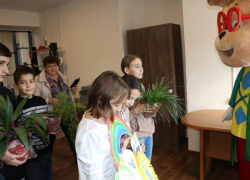 Ребята из социального приюта Морозовского района подарили молодежному центру комнатные цветы 