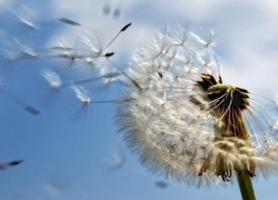 Небольшое похолодание ожидается в Морозовске в четверг