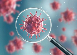 16 июня: подтвержденных случаев COVID-19 в Морозовске - 32, новых заболевших не выявлено