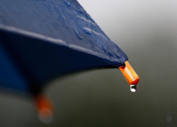 Пасмурная и холодная погода ожидается в Морозовске 29 октября