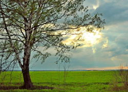 Облачность и до +24 градусов тепла прогнозируют синоптики в субботу