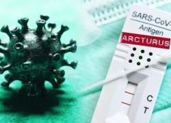 «Арктур»: всплеск распространения сверхзаразного штамма коронавируса ожидается в  России в конце мая