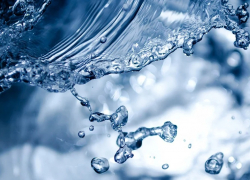 Корни старых деревьев порвали асбестово-цементную трубу в хуторе Вишневка в двух местах просто пополам