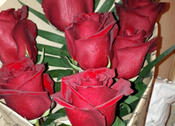 Уже заказали букет роз к празднику? Нет? Вам в Блокнот Справочник!