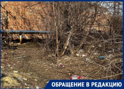 «Мы утопаем в мусоре»: замусоренный центр города показали жители Морозовска 
