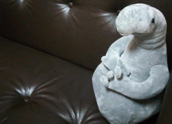 Любишь комфорт? Заходи в Справочник 