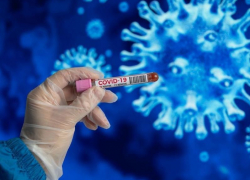 19 января: число заболевших коронавирусом в Морозовском районе увеличилось на восемь человек