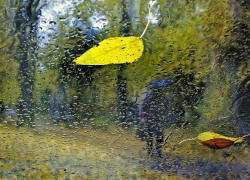 Конец недели в Морозовске обещает быть дождливым