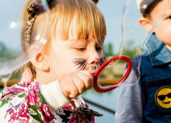 Ищешь контакты организаторов праздника? Заходи в Справочник