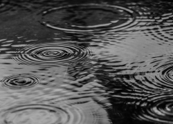 Дождь продолжится и во вторник