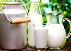 Вопрос-ответ: Где можно купить продукцию морозовского молокозавода?