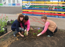 Родители совместно с воспитателями в Морозовске высадили цветы в детском саду 