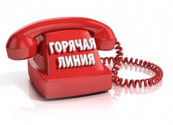 Специальную "горячую линию" для родителей школьников открыли в Ростовской области с 1 сентября
