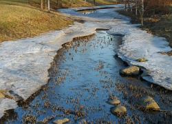 Переменную облачность и до 6 градусов тепла обещают синоптики в субботу, 19 февраля