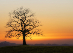 Ещё одна теплая неделя ожидает морозовчан в декабре