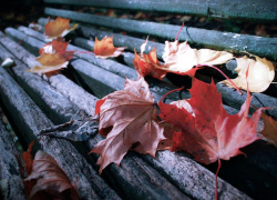 Осень пришла: в Морозовске ожидается резкое похолодание