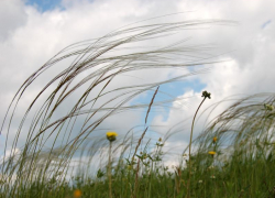 Облачность и всего до +25 градусов тепла обещают морозовчанам в середине недели