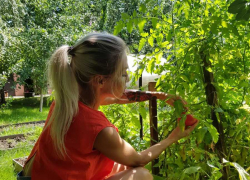 Мечтаешь о собственном участке? Загляни в Справочник