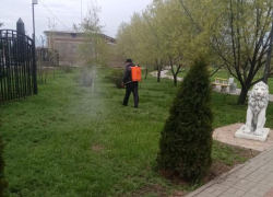 Зеленые территории в Морозовском районе начали обрабатывать от клещей