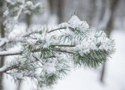 Сильный ветер и снег сохранится в Морозовске и четверг