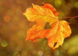 Праздничный день 4 ноября в Морозовске будет солнечным и теплым