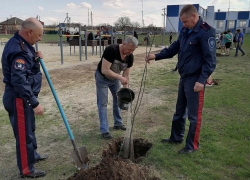 Более 60 саженцев молодых деревьев высадили казаки Морозовского юрта в рамках акции «Сад памяти»