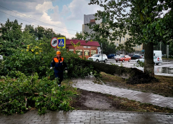 Сильный ветер повалил дерево на улице Подтелкова