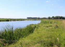 Вопрос-ответ: Безопасно ли купаться и ловить рыбу в реке Быстрой?