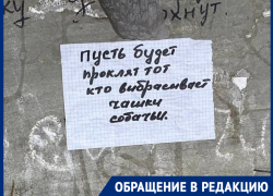 «Собаки становятся агрессивными и кусают детей»: жители Морозовска бьют тревогу из-за стаи на улице Ворошилова
