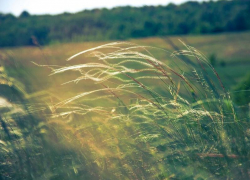 Переменную облачность и ветер обещают морозовчанам в конце недели