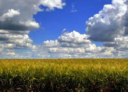 Теплую погоду без осадков обещают морозовчанам в среду