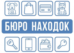 Потеряшки дня: в Морозовске ищут хозяев кота, собаки и банковской карты