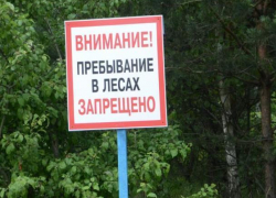 Лес для дончан пока под запретом: ограничение продлили до 1 октября