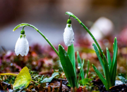 Небольшие осадки возможны в Морозовске и в пятницу, 19 марта