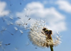 Теплый, солнечный день обещают морозовчанам и четверг