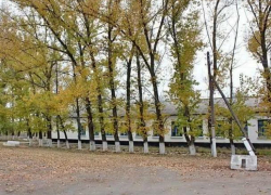 Календарь Морозовска: Ново-Павловские комсомольцы в октябре 1949 года посадили 5000 деревьев