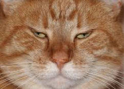 После вчерашнего задумался о смене образа жизни? Тебе в Блокнот Справочник!